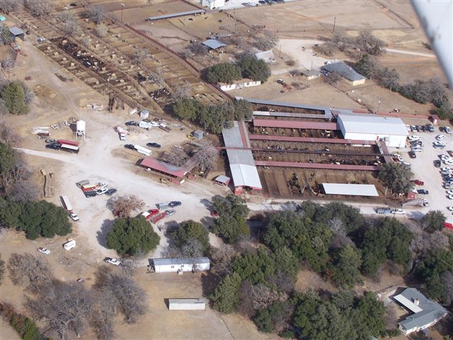 decatur livestock market